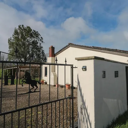 Casa vacanze Holly Tree *