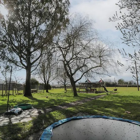 Holly Tree Northallerton